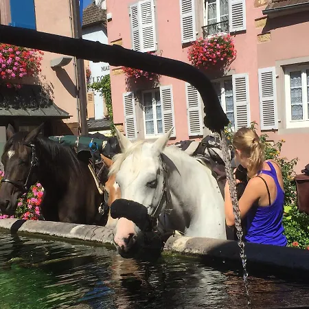 Du Rempart Hotel Eguisheim