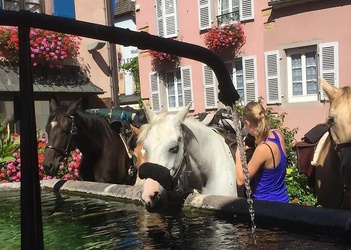 Du Rempart Hotel Eguisheim